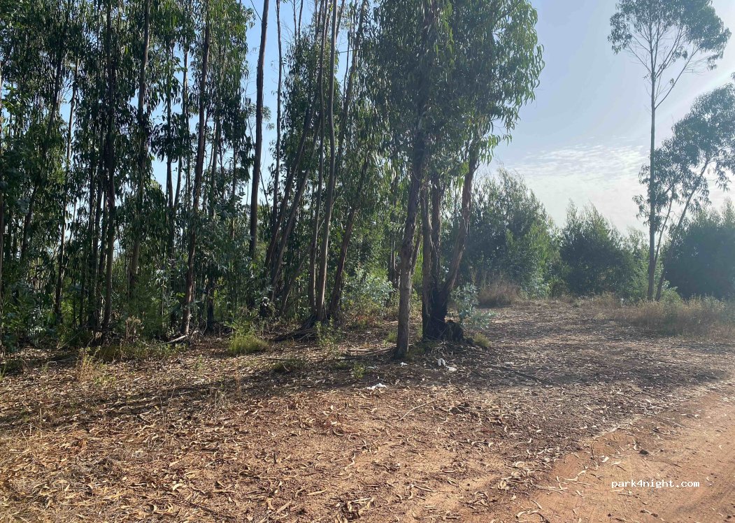 (7630-174) S.Teotónio - Unnamed road — foto