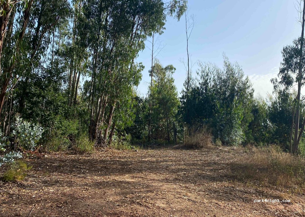 (7630-174) S.Teotónio - Unnamed road — foto 2