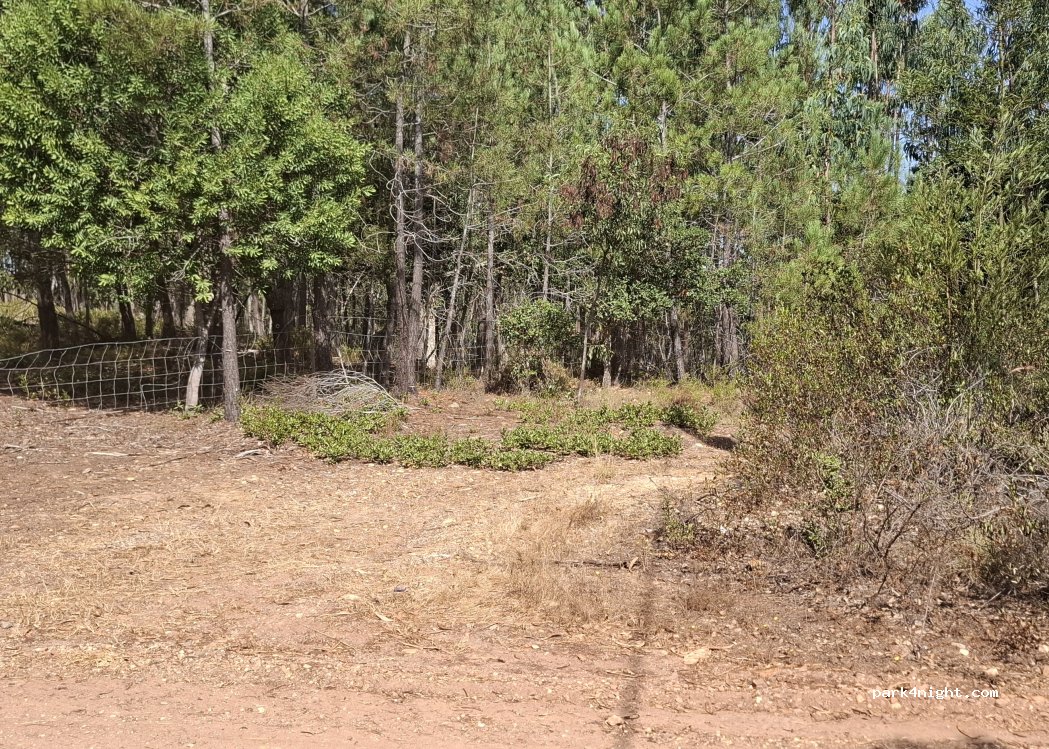 (7630-174) S.Teotónio - Unnamed road — foto 4