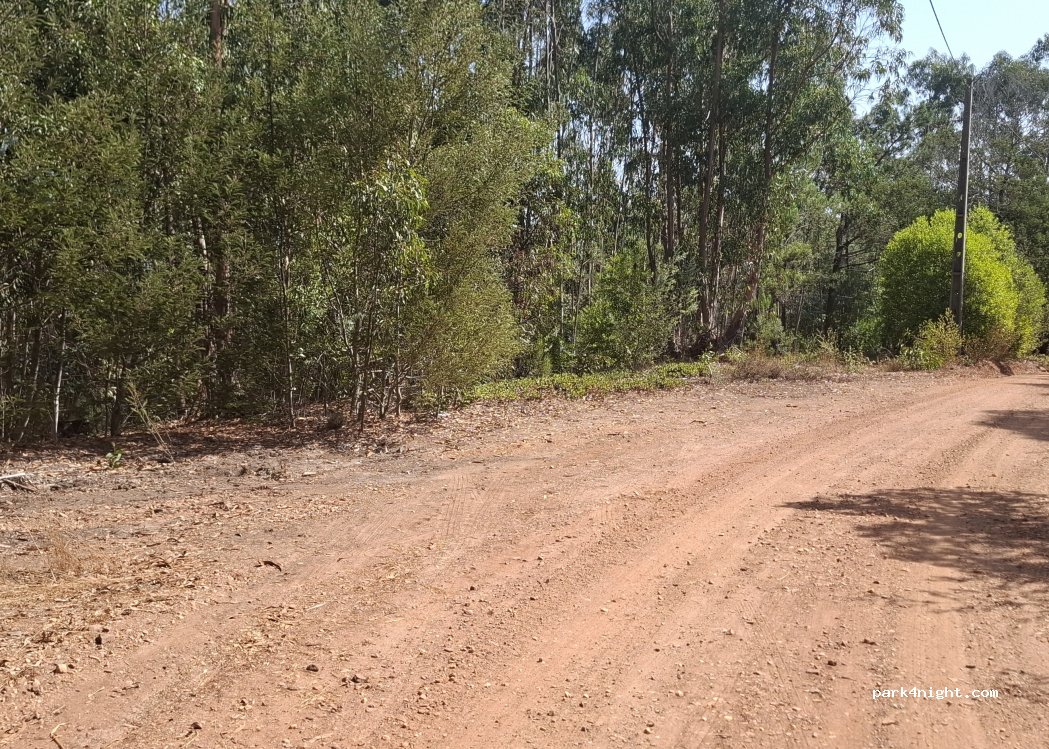(7630-174) S.Teotónio - Unnamed road — foto 5