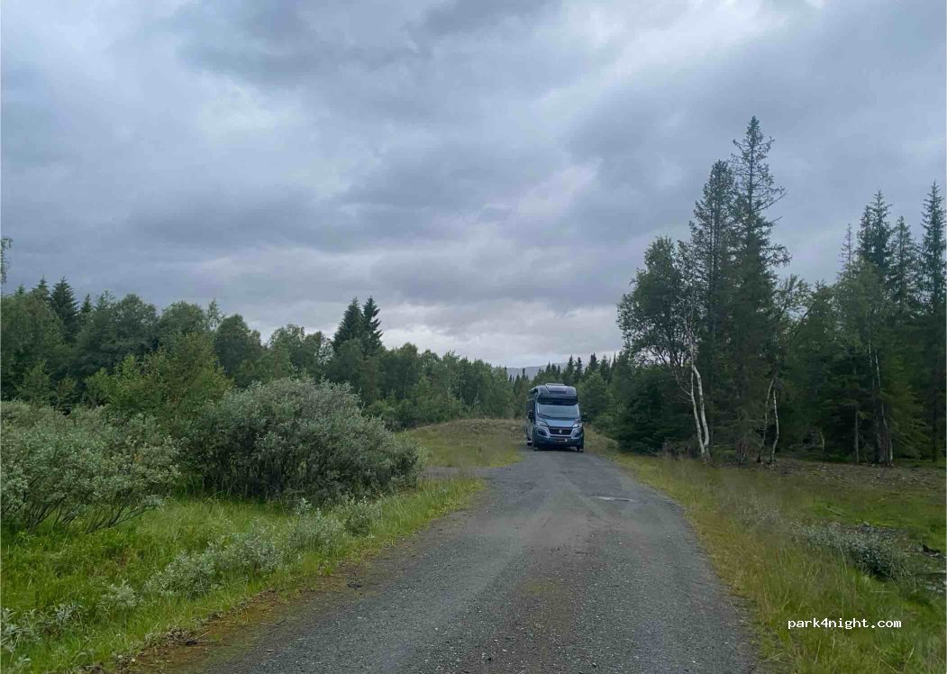 (7590) Tydal - 24 Skogsvegen — foto 2