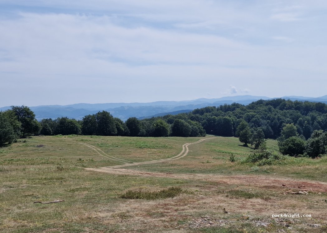 (417565) Șuncuiuș - — foto