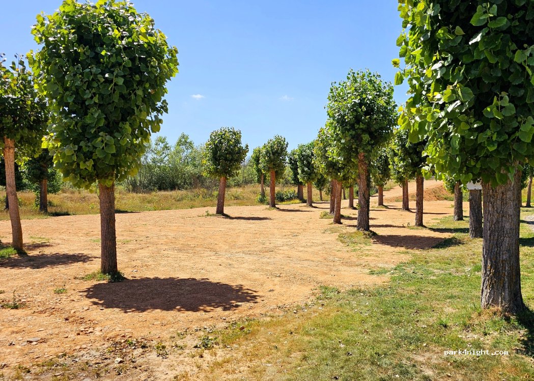 (34110) Pino del Río - 3A Calle de la Fragua — foto 3