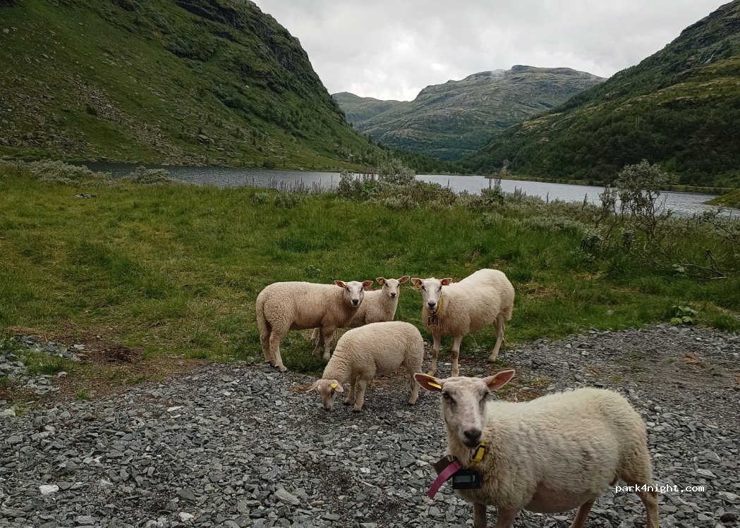 (5745) Aurland - Unnamed Road — foto 2