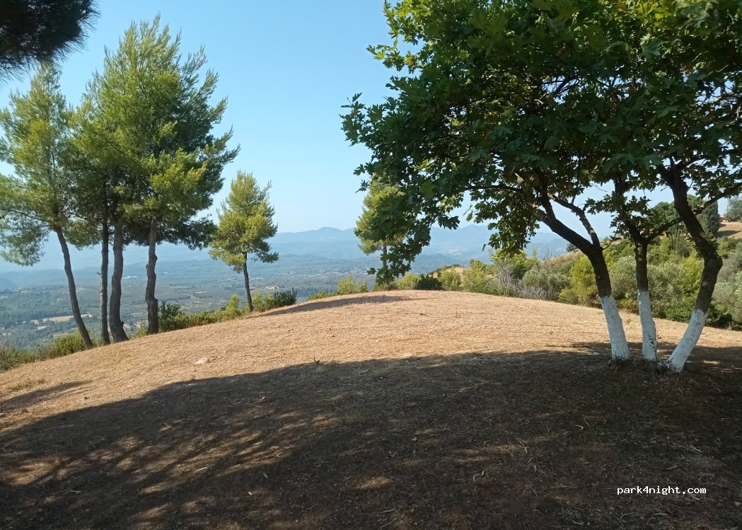 (270 66) Foloi - — foto 3