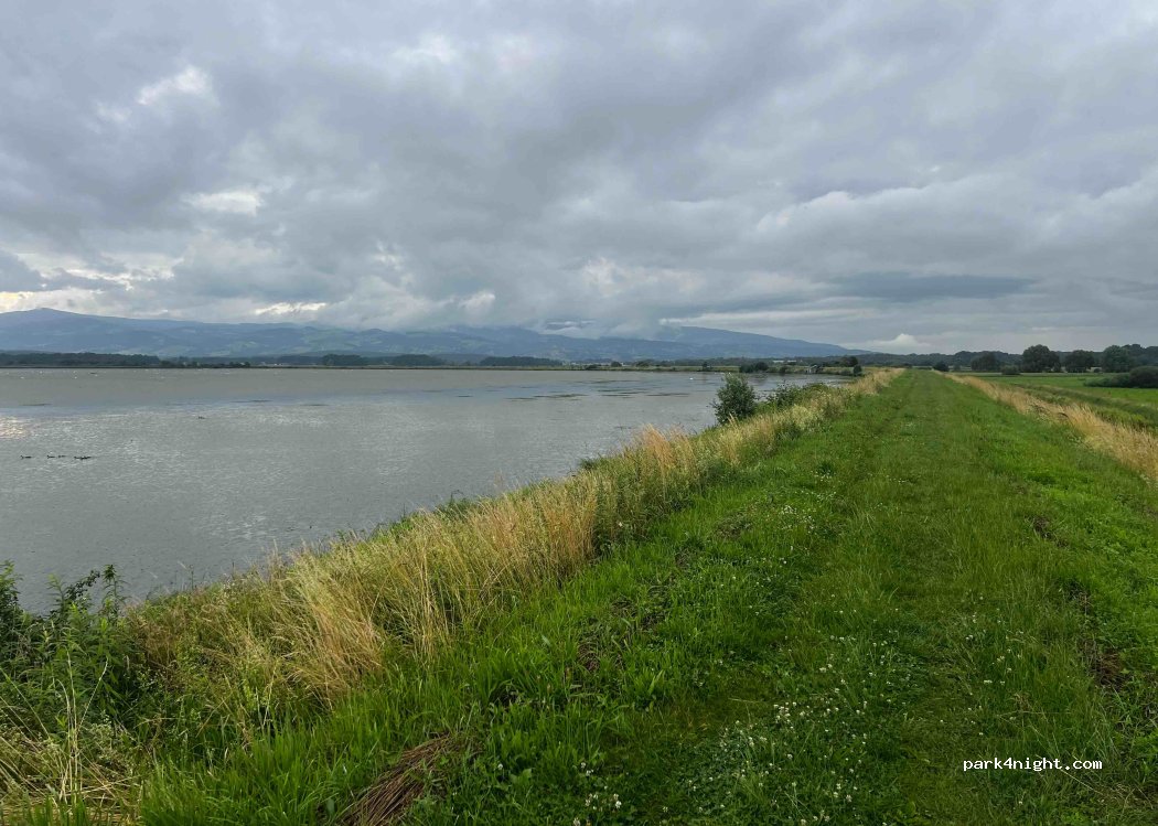 (2322) Majšperk - Unnamed Road — foto 2