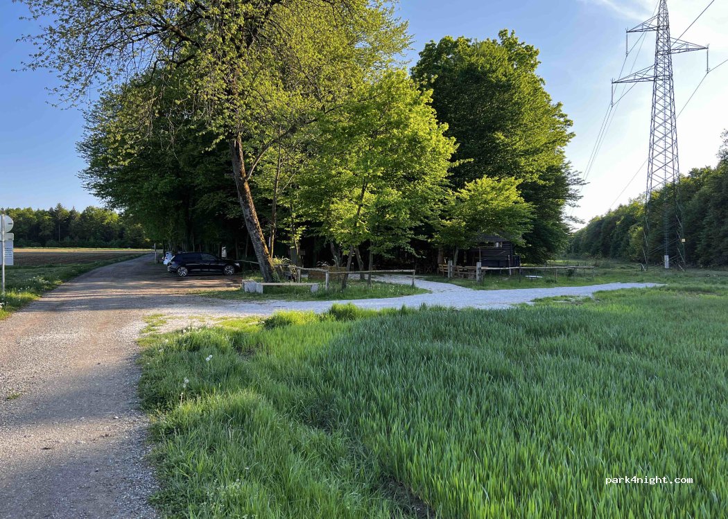 (2322) Majšperk - Unnamed Road — foto 5