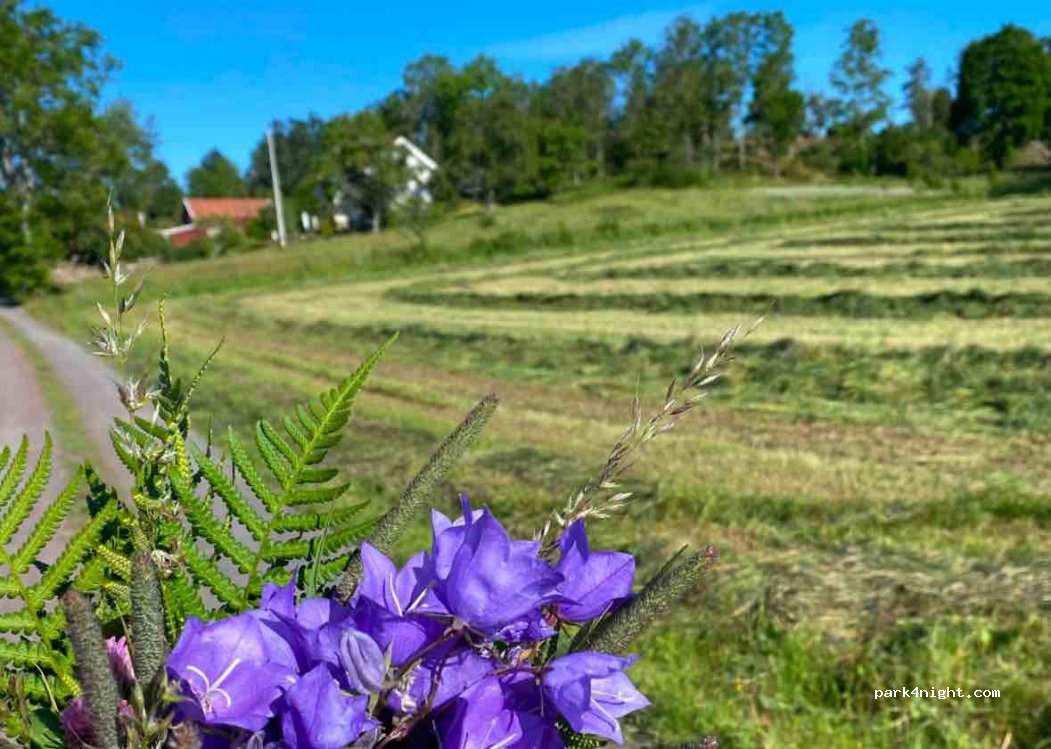 (563 93) Gränna - 1 HAGA — foto 2