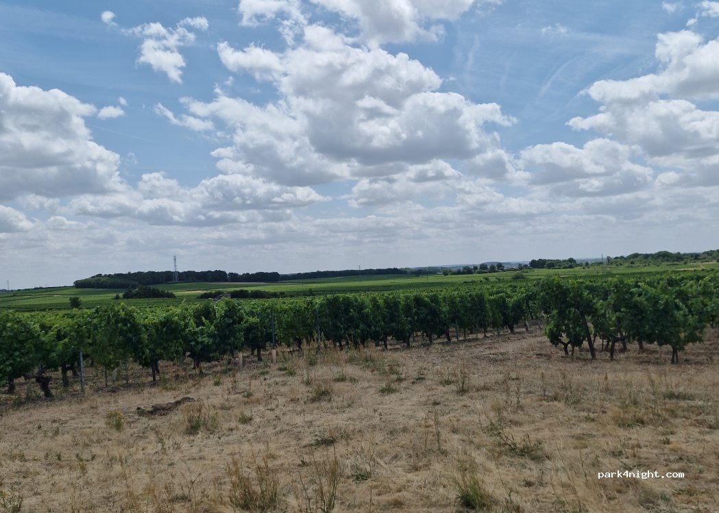 La Seigneurie // EARL Foucher — foto 3