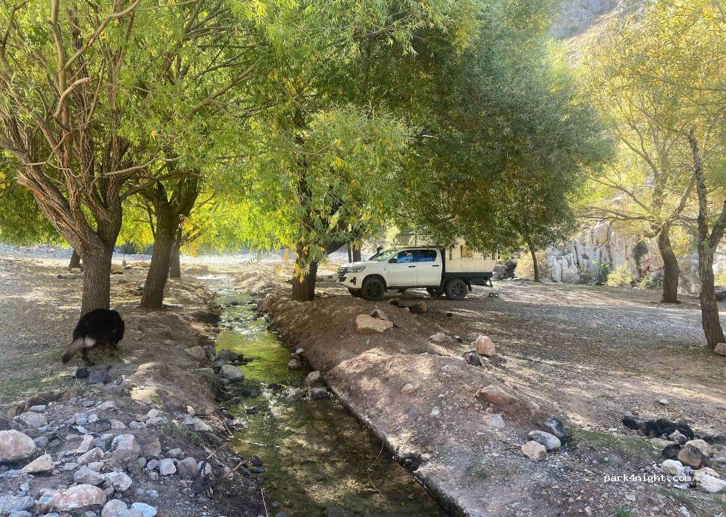 (51662) Çamardı - — foto