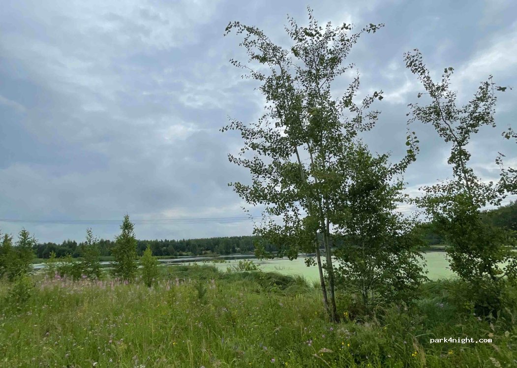 (142431) Pashukovo - — foto 3