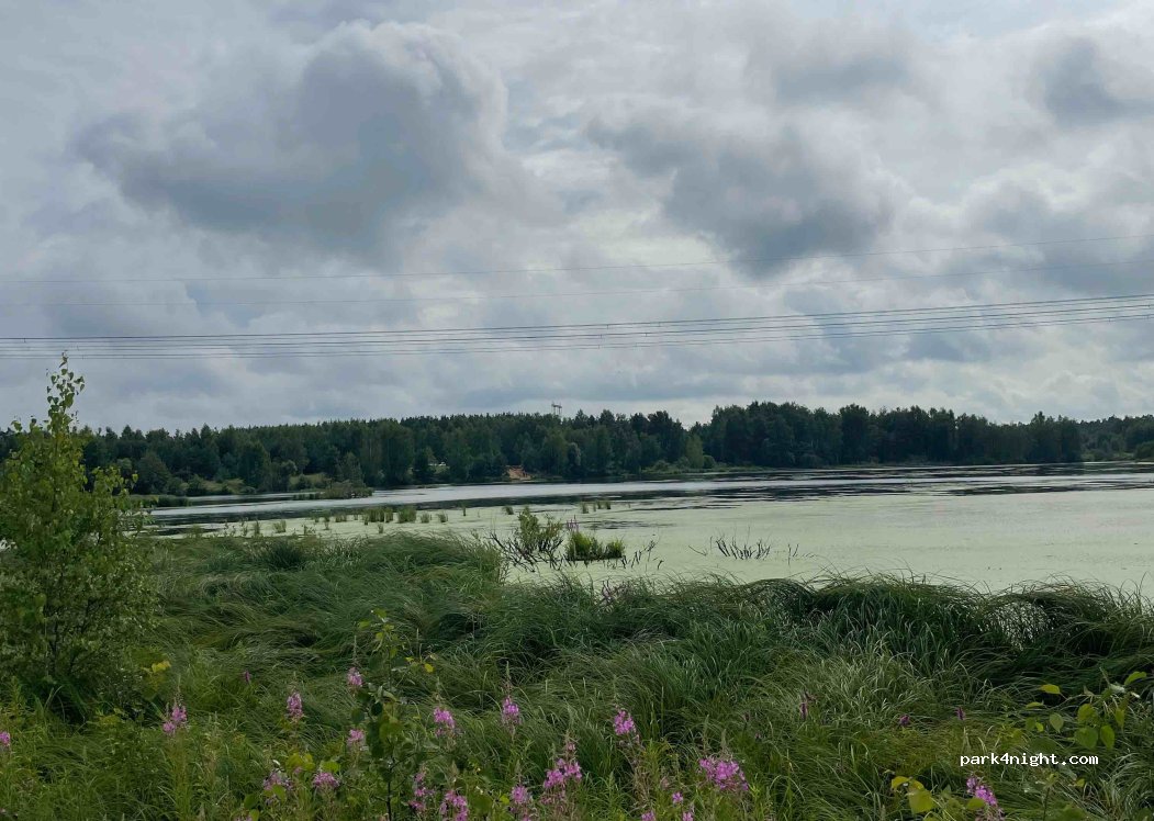 (142431) Pashukovo - — foto 4