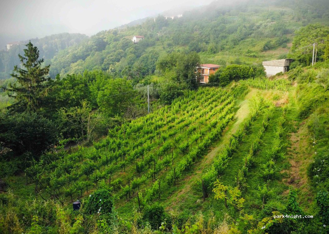 (84125) Salerno - 12 Via Croce — foto