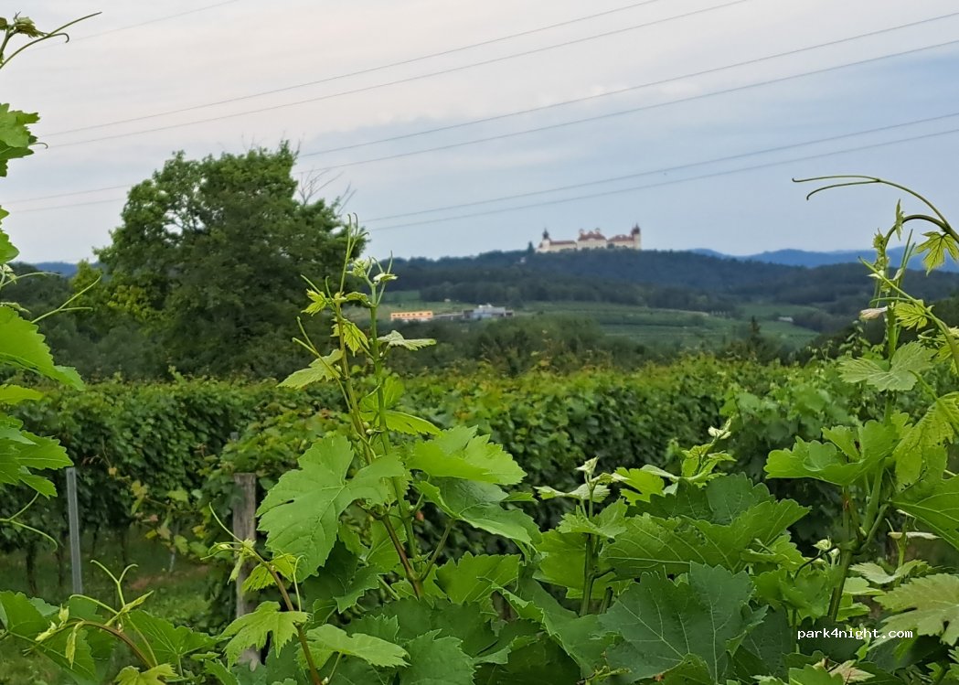 Winzerhof Holzheu — foto 2