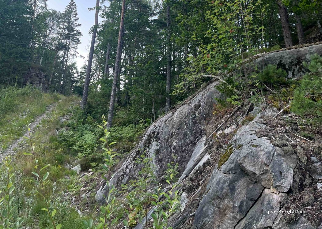 (4641) Søgne - 93 Sekundær Fylkesveg 158 — foto 3