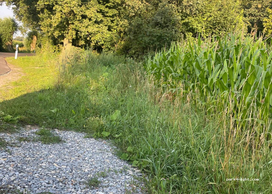 (16928) Gerdshagen - Unnamed Road — foto