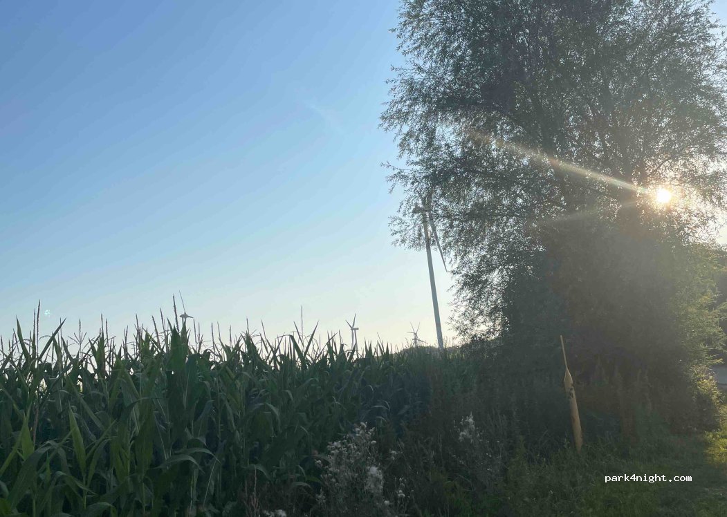 (16928) Gerdshagen - Unnamed Road — foto 2