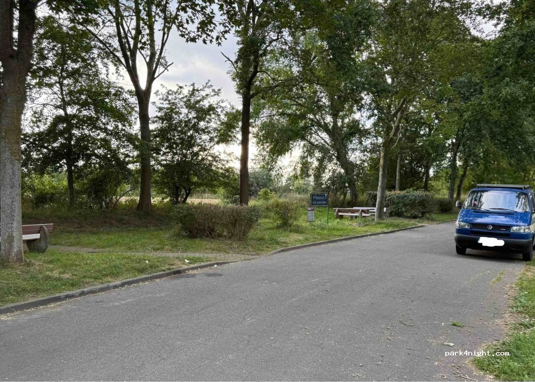 (24351) Damp - 2 Schwastrum — foto 2