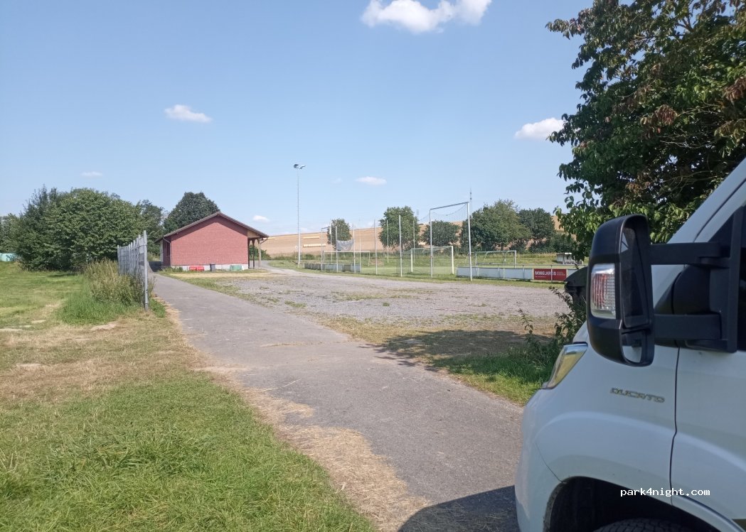 (33034) Brakel - 1 Krummfußkämpe — foto