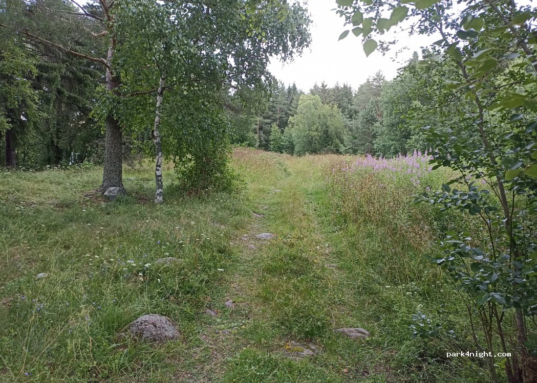 (186007) Vidlitsa - — foto 2