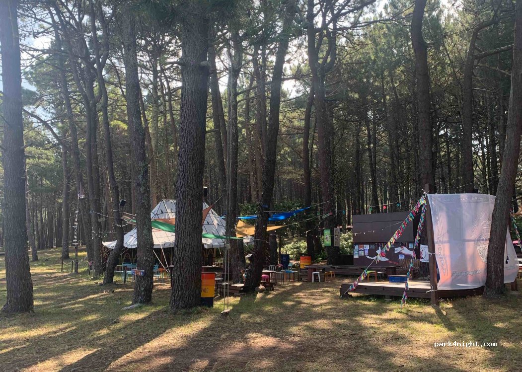 (36626) Illa de Arousa - — foto