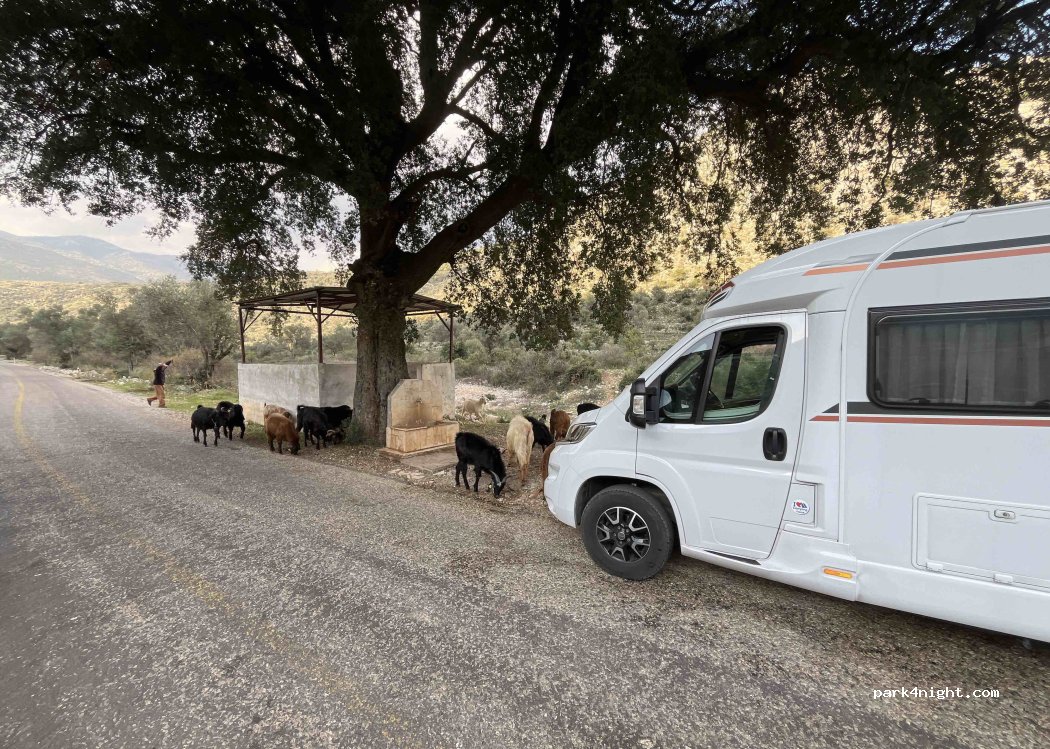 (48360) Seydikemer - Unnamed Road — foto 2