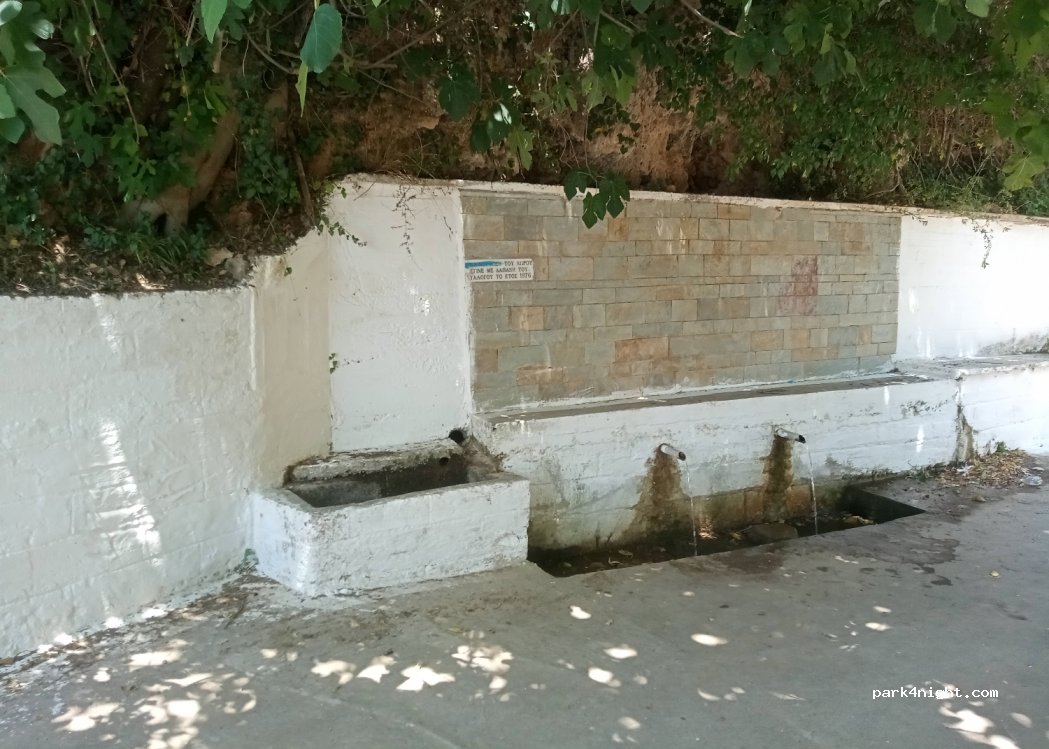 (240 08) Andania - EO Sirtzi-Megalopolis — foto 2