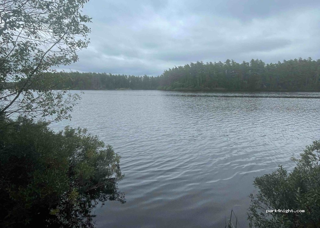 (291 98) Skärsnäsvägen - Dynebodavägen — foto 2