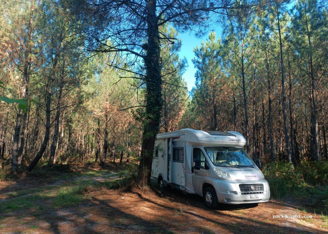 (40260) Lesperon - — foto 4