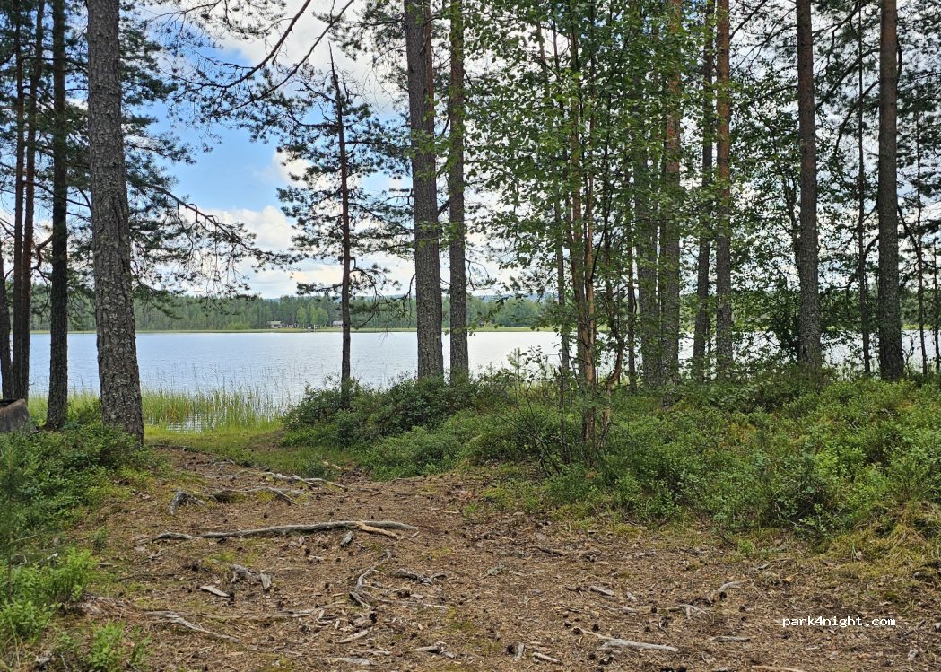 (794 91)  - 500 JÄSEN — foto