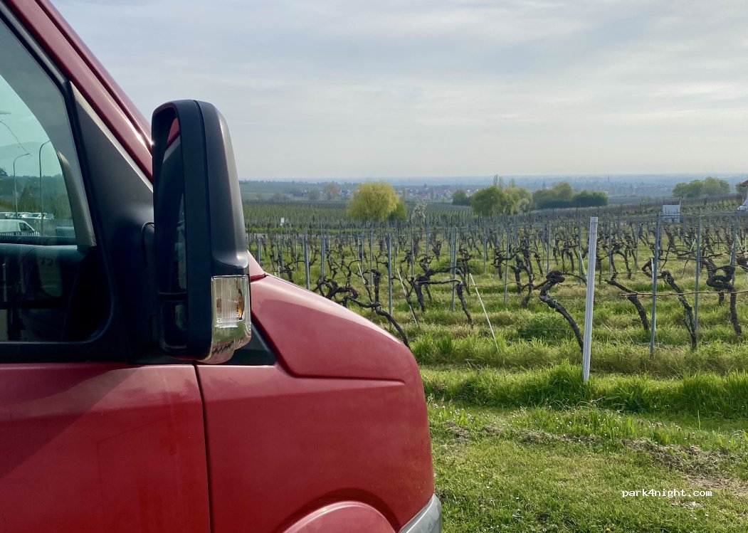 Weingut Winzerhof Bernd Eberle — foto 3
