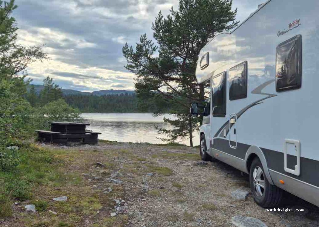 (2443) Rostvollen - 107 Fjellgutua — foto