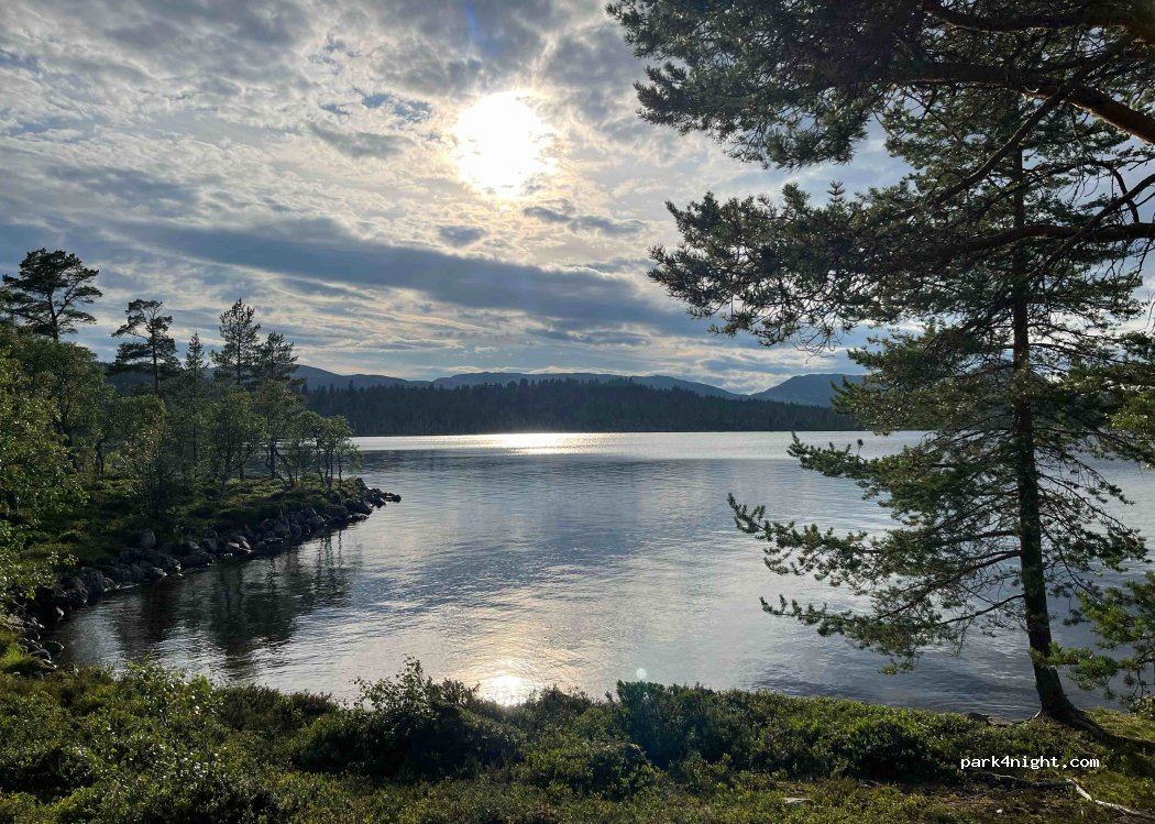 (2443) Rostvollen - 107 Fjellgutua — foto 2