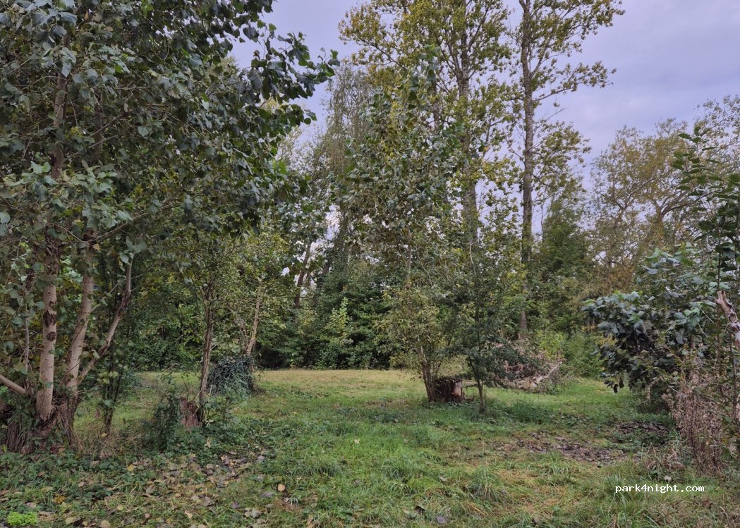 Campingplatz Am Müncherteich — foto 4
