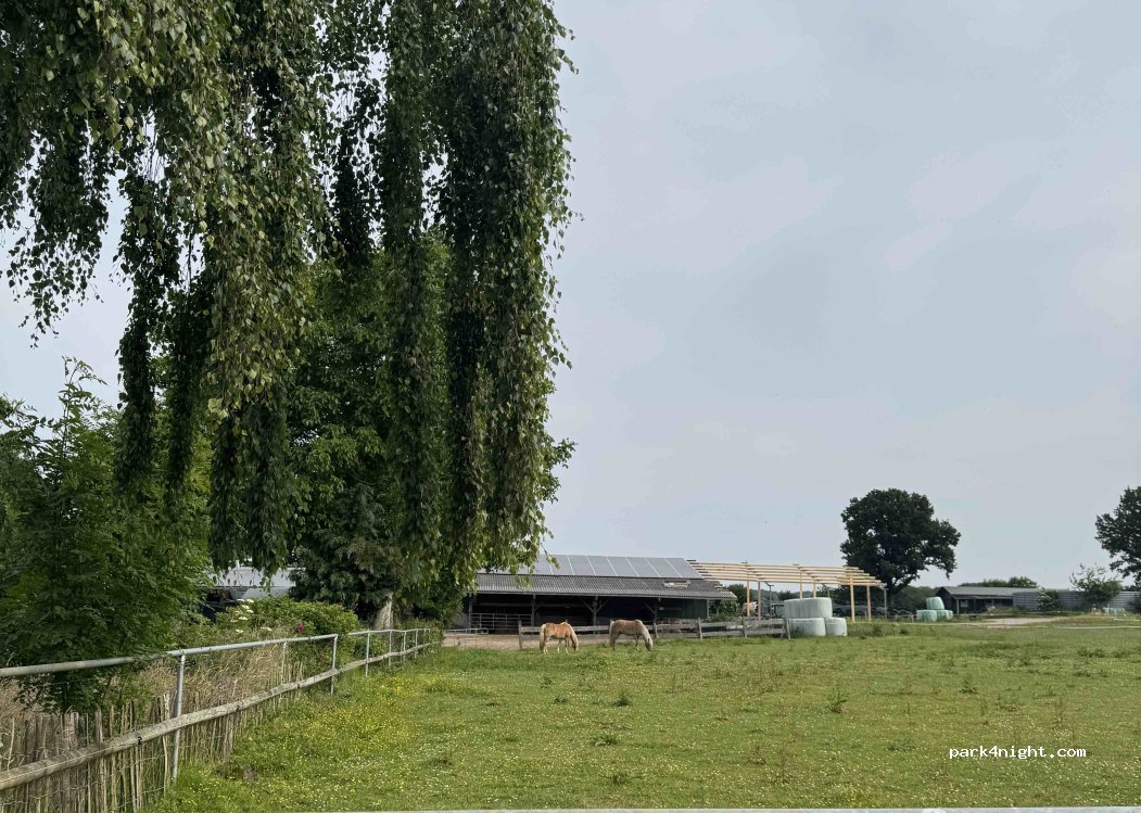 Waldseehof Ahlefeld - Anke & Wilhelm Wischnewski — foto 2