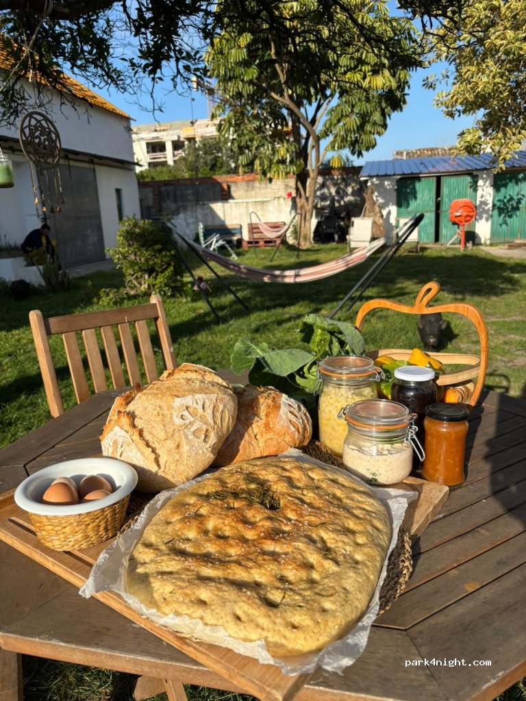Montijo Garden Farmstay — foto 2