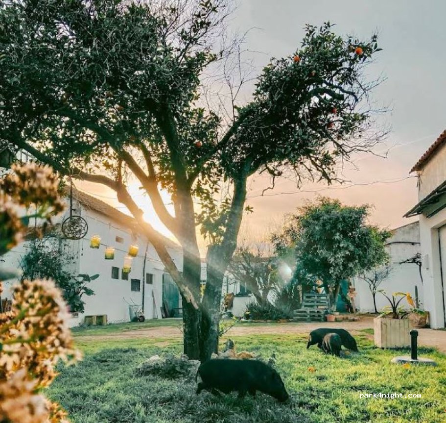 Montijo Garden Farmstay — foto 3