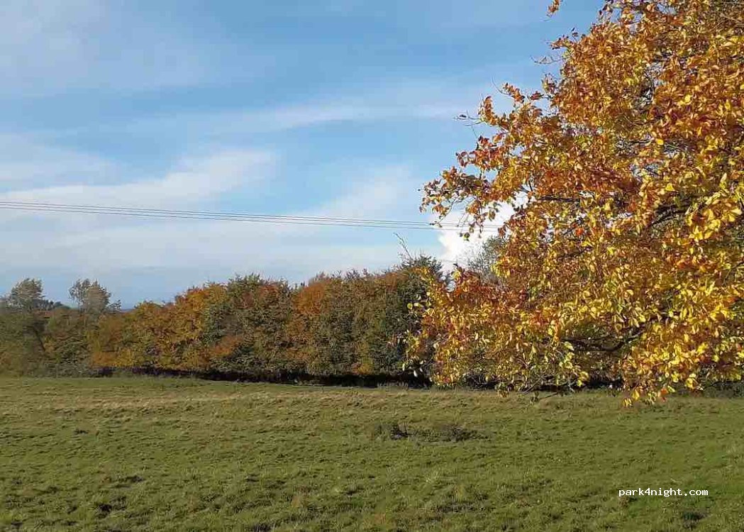 Park Hill Farm — foto 2