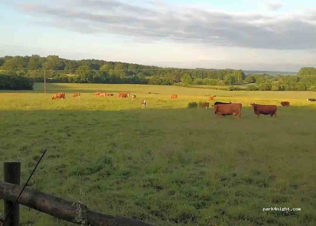 Park Hill Farm — foto 4