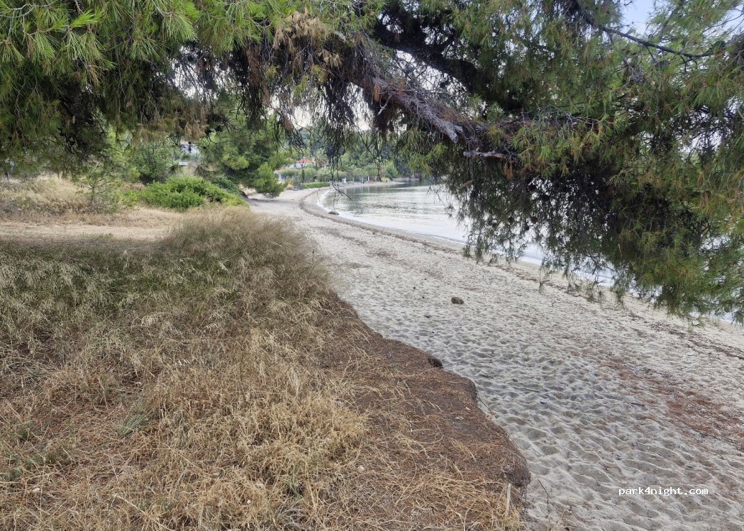 (630 81) Sithonia - EO Nikitis-Sartis — foto