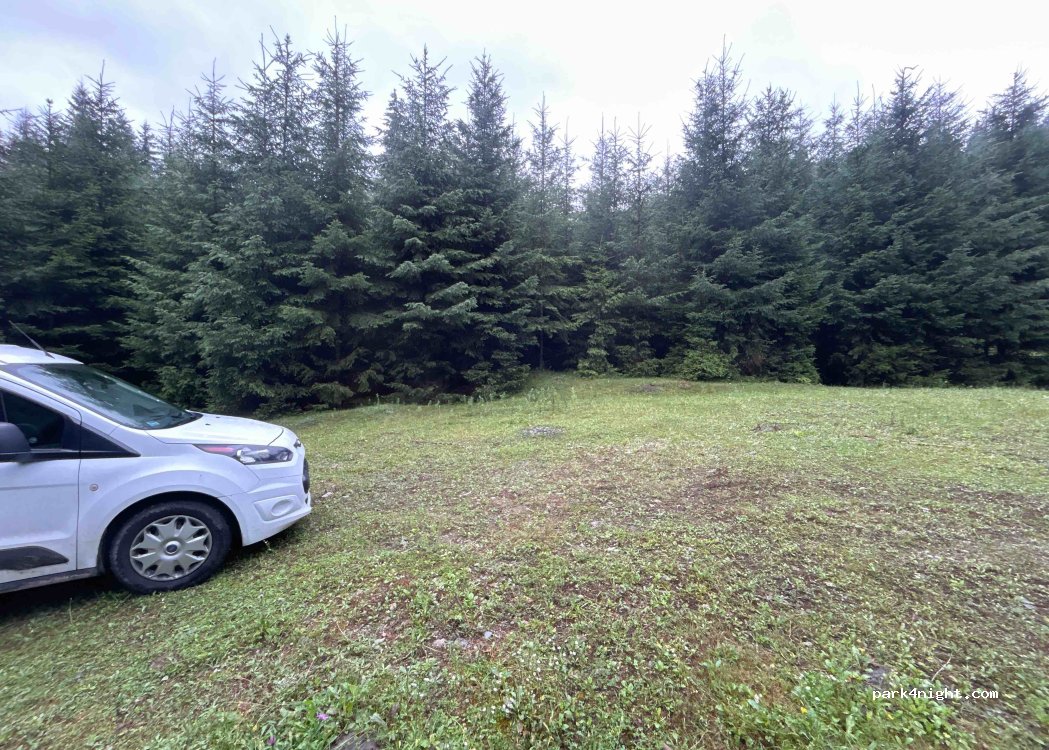 (727597) Paltinu - — foto 2