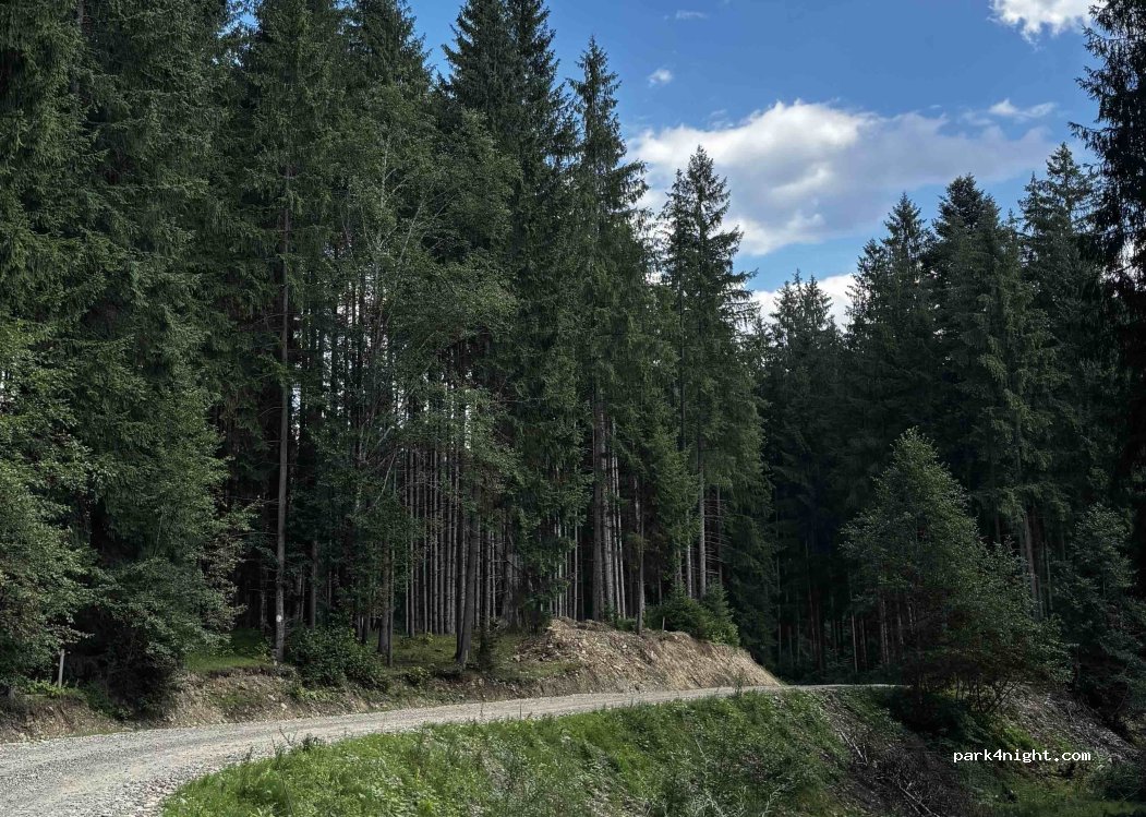(727597) Paltinu - — foto 4