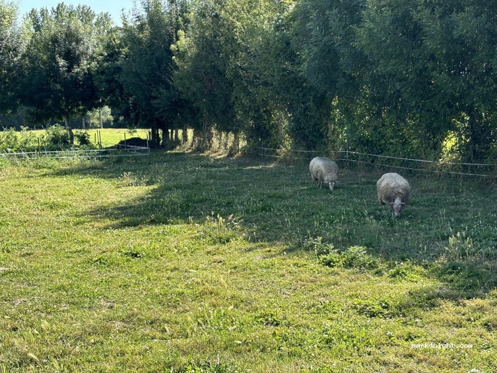 Aire CC à la ferme — foto 2