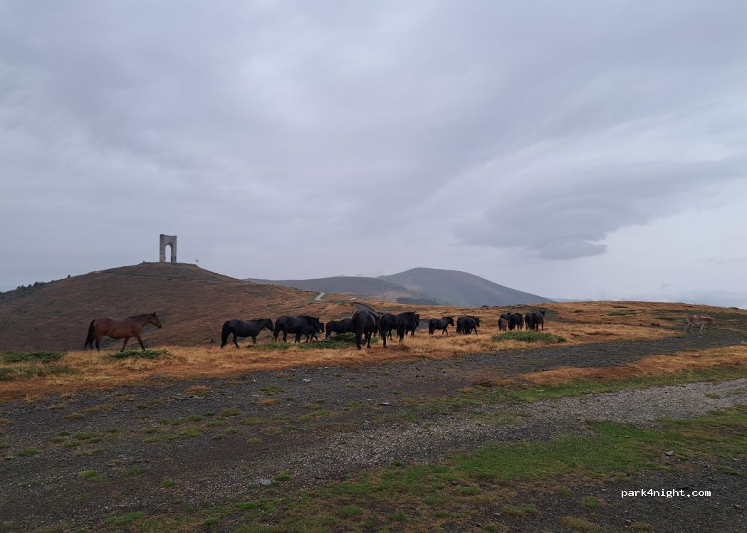 (5662) Chiflik - Unnamed Road — foto 3