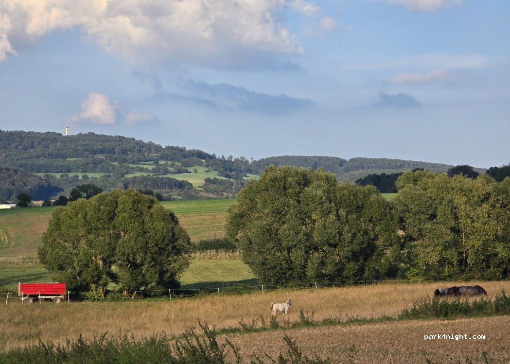 (34346) Hann. Münden - 3 — foto 4