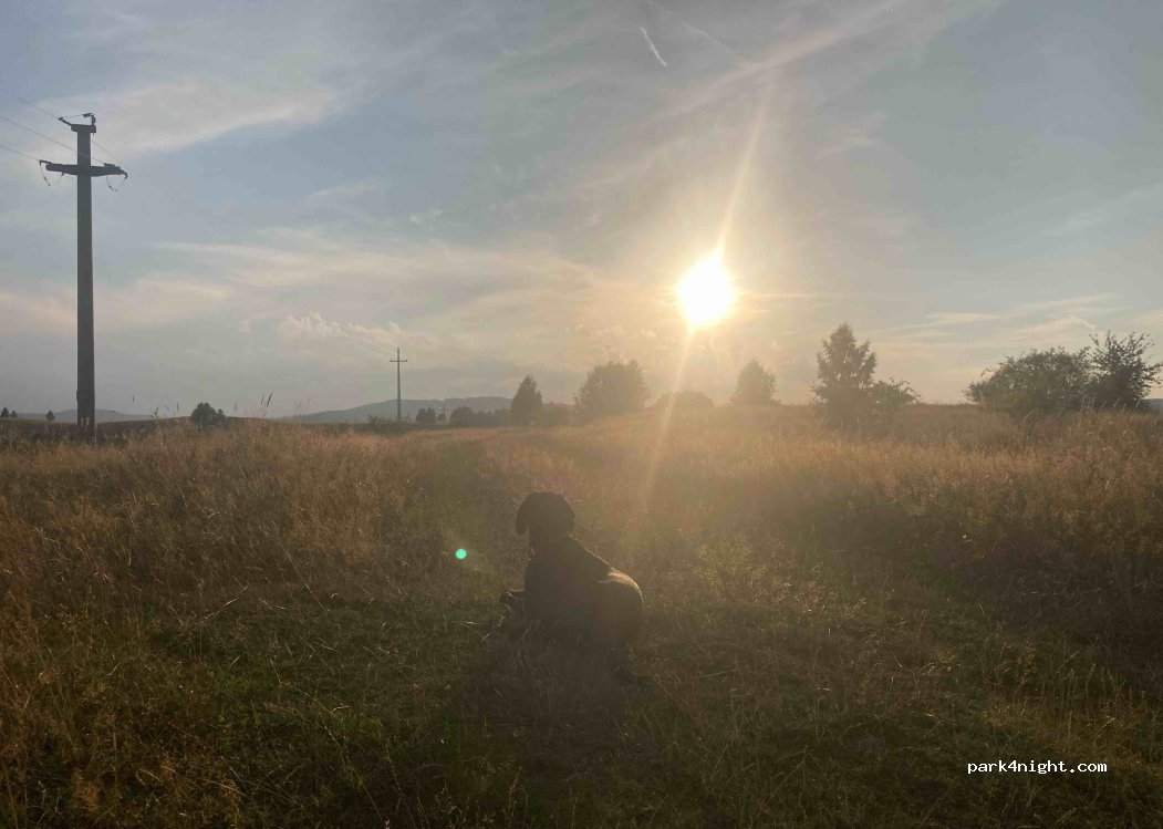 (337160) Bunila - DJ687E — foto