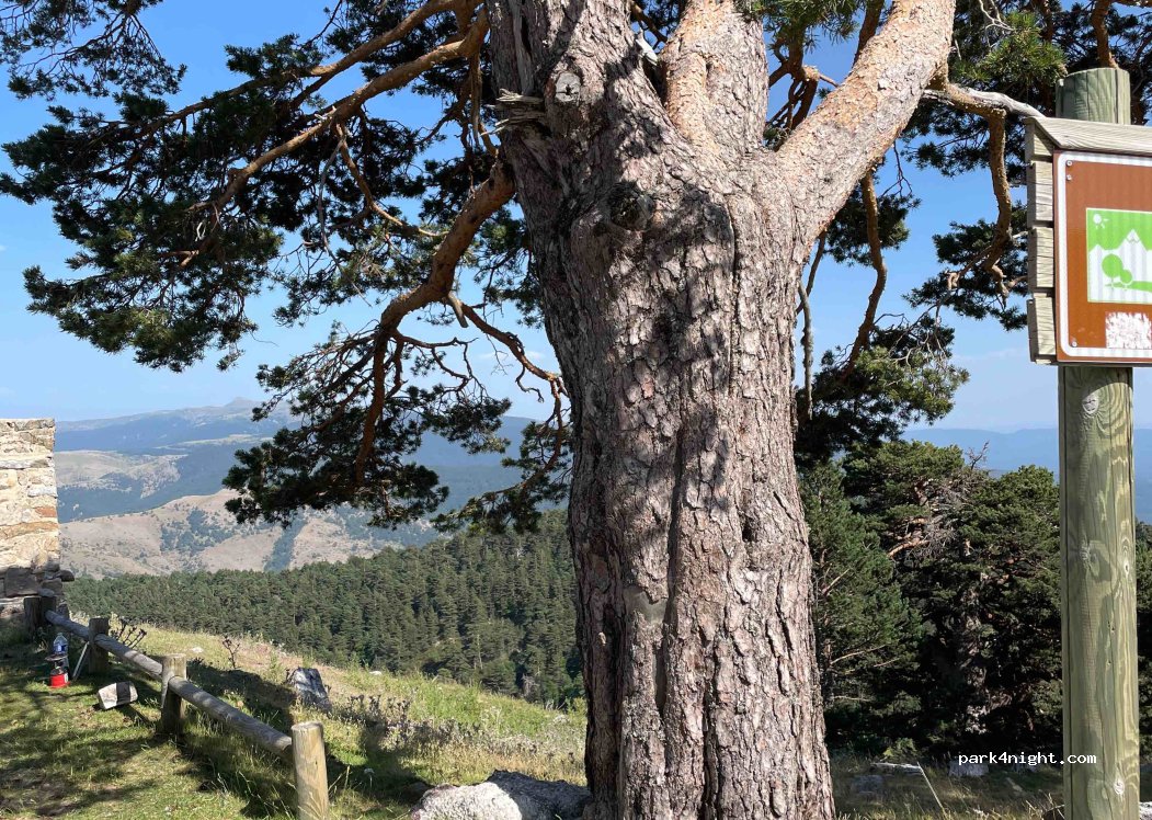 (09679) Burgos - Refugio de Neila — foto 3