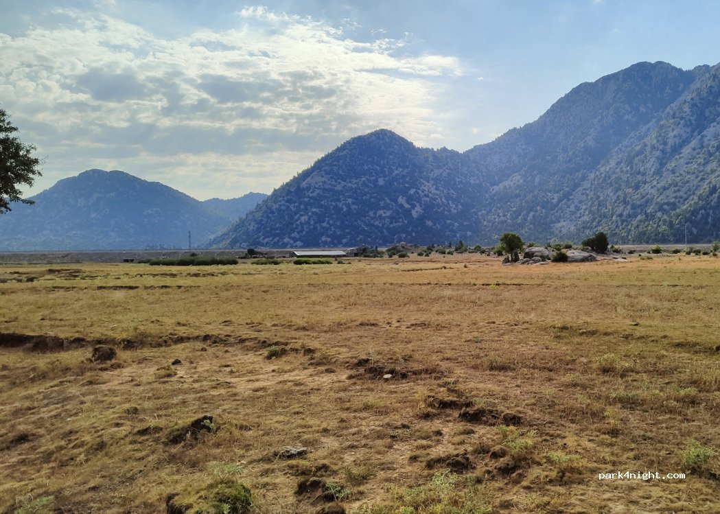 (07680) Başlar - — foto 2