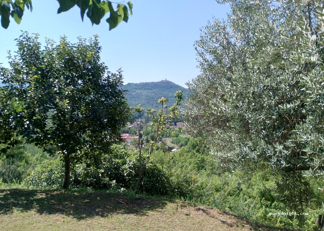 Visintin Winery — foto 3