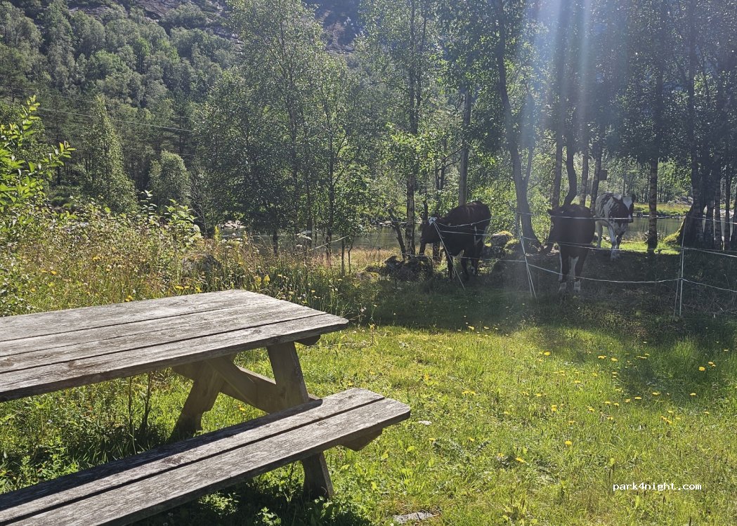 (4480) Kvinesdal - 27 Sekundær Fylkesveg 801 — foto 2